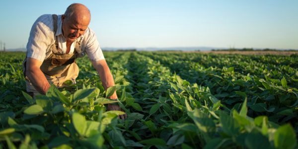 CNPJ obrigatório para produtores rurais, autônomos e prestadores de serviços é adiado